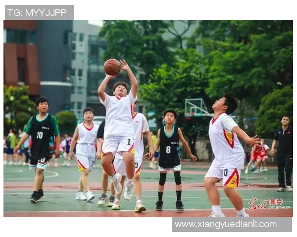 充篮球的魅力与技巧探索让我们一起感受运动的激情与乐趣
