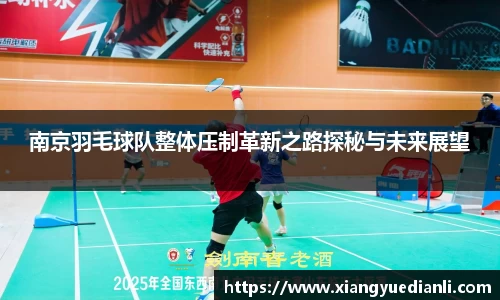 南京羽毛球队整体压制革新之路探秘与未来展望